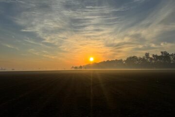 Sun rise in Village Raowal