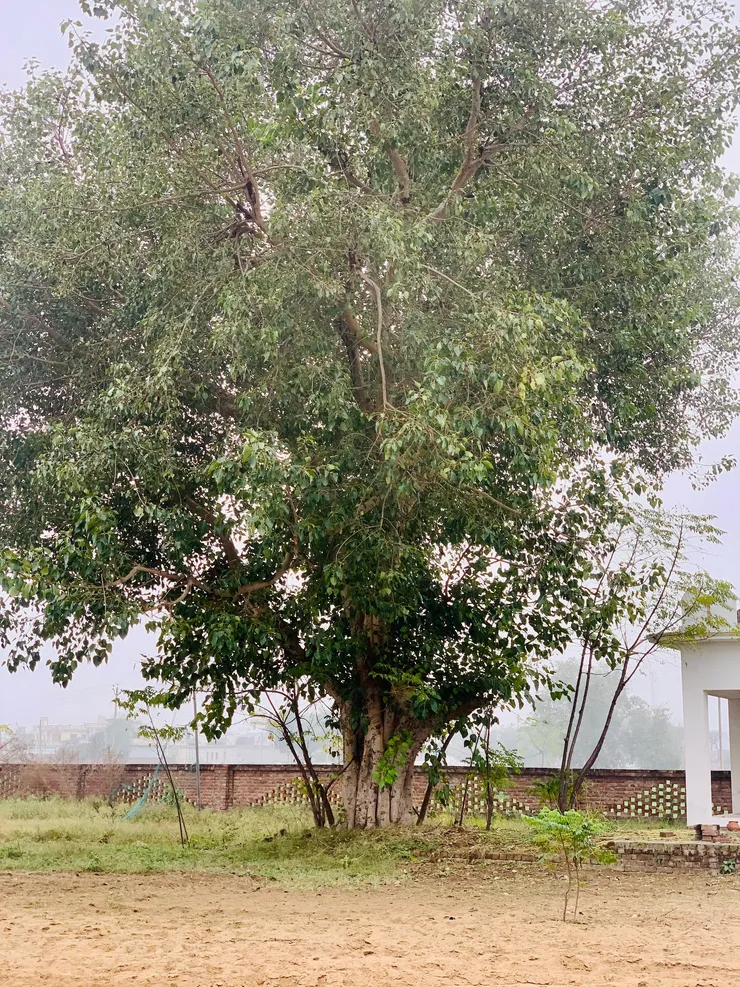 Shamshaan Ghat Pind Raowal Ludhiana