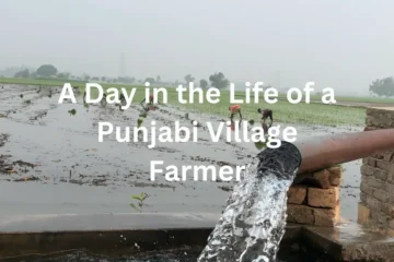 Punjabi Village Farmer
