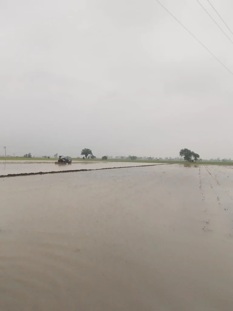 Rain in Month of Saun at Village Raowal