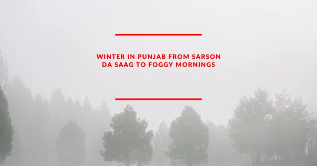 Winter in Punjab From Sarson Da Saag to Foggy Mornings