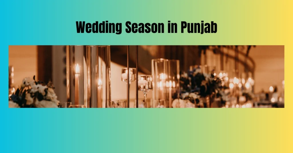 Punjabi Wedding Venue