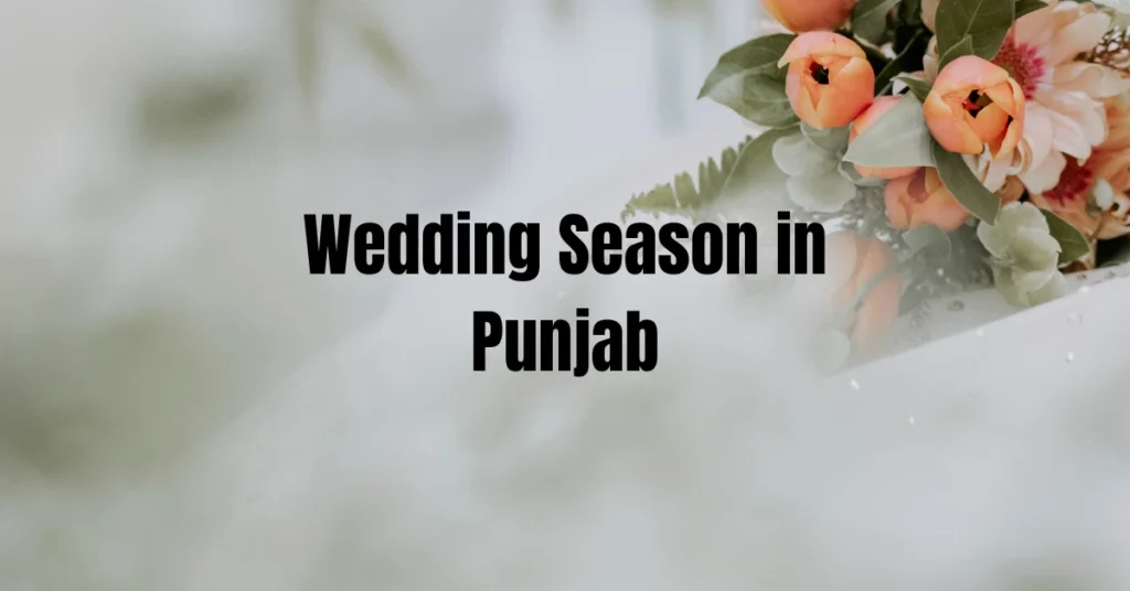 Wedding Season in Punjab