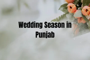 Wedding Season in Punjab