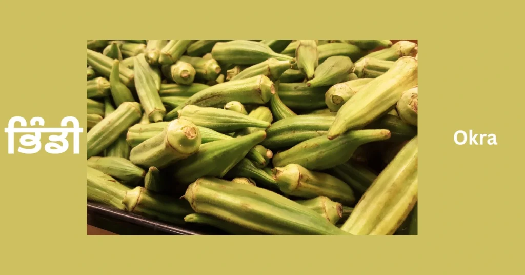 Okra
