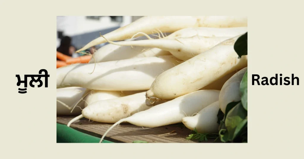 Radish