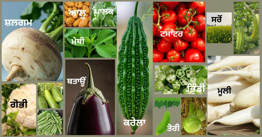 Vegetable Names in Punjabi