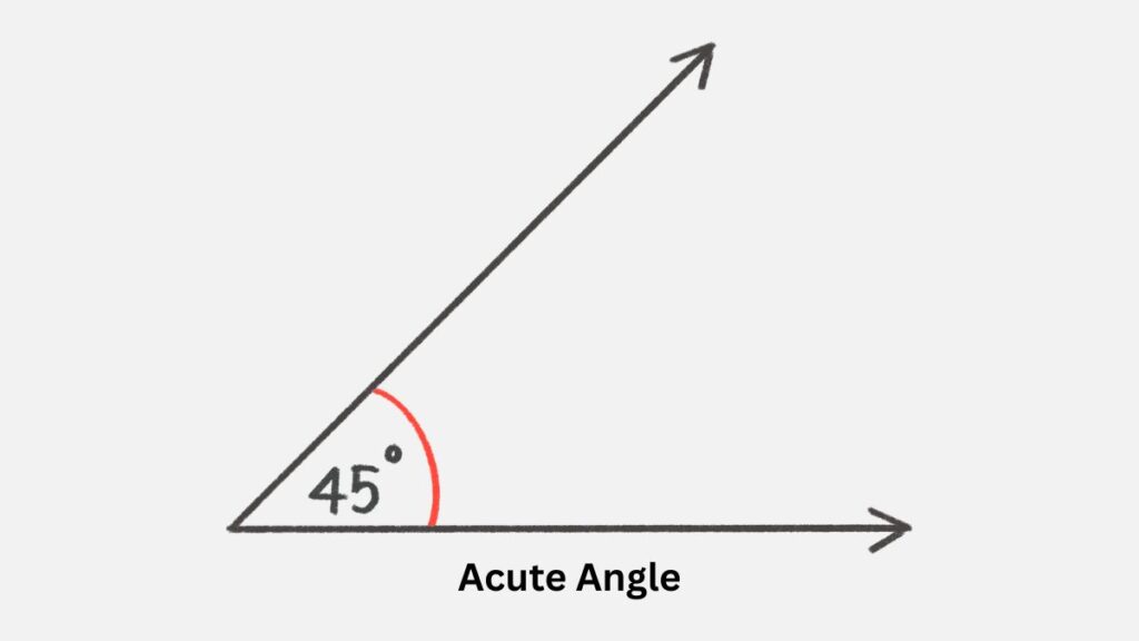 Acute Angle