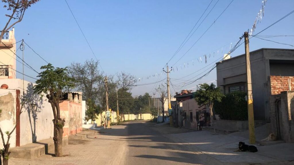 Afternoon Walk Through a Punjab Village