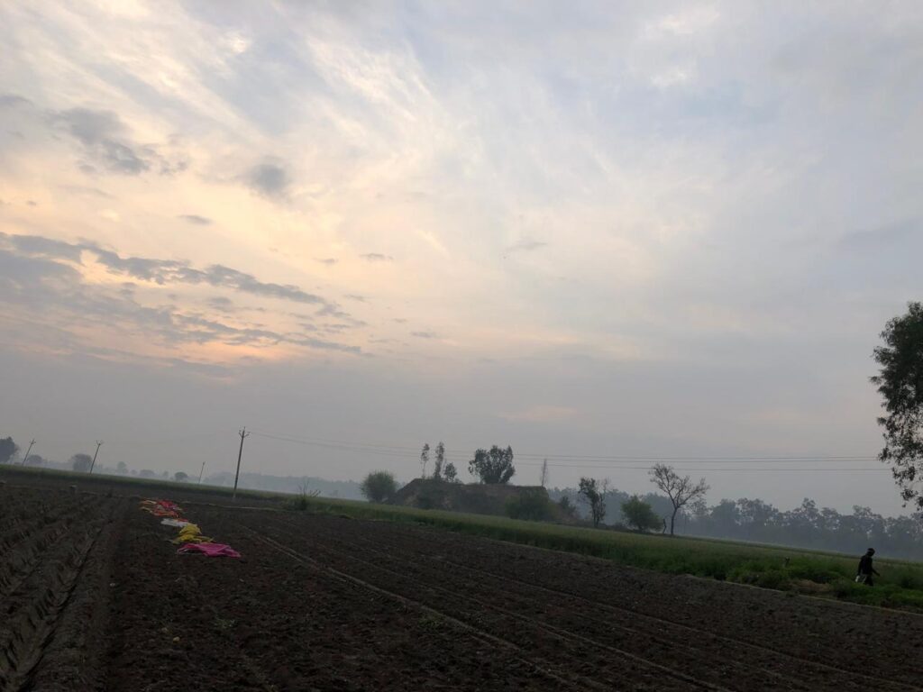 Field View at Village Raowal