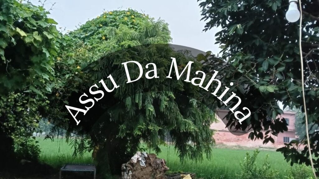 Assu Da Mahina