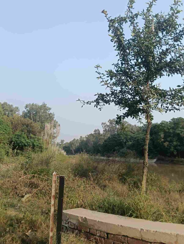 View of Canal Bridge Village Raowal