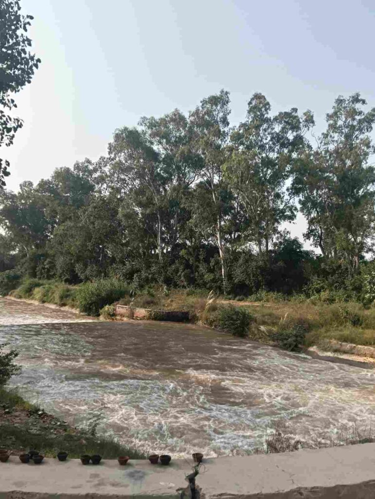 Sidhwan Bet Branch Canal Village Raowal