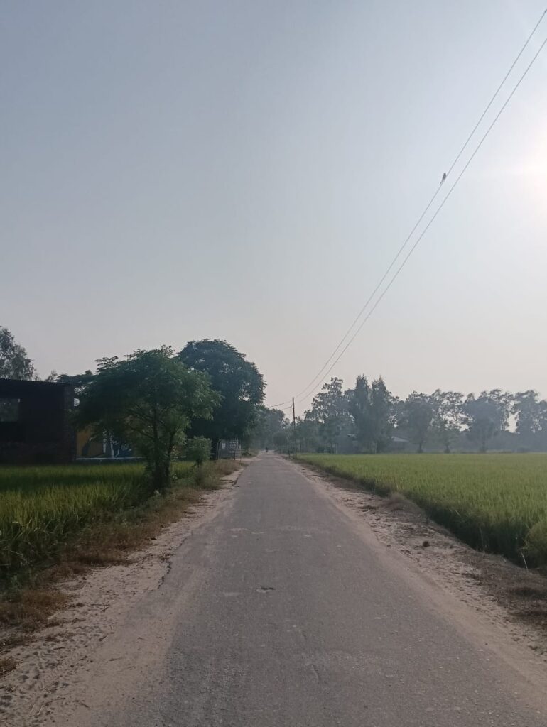 Way to Canal Village Raowal