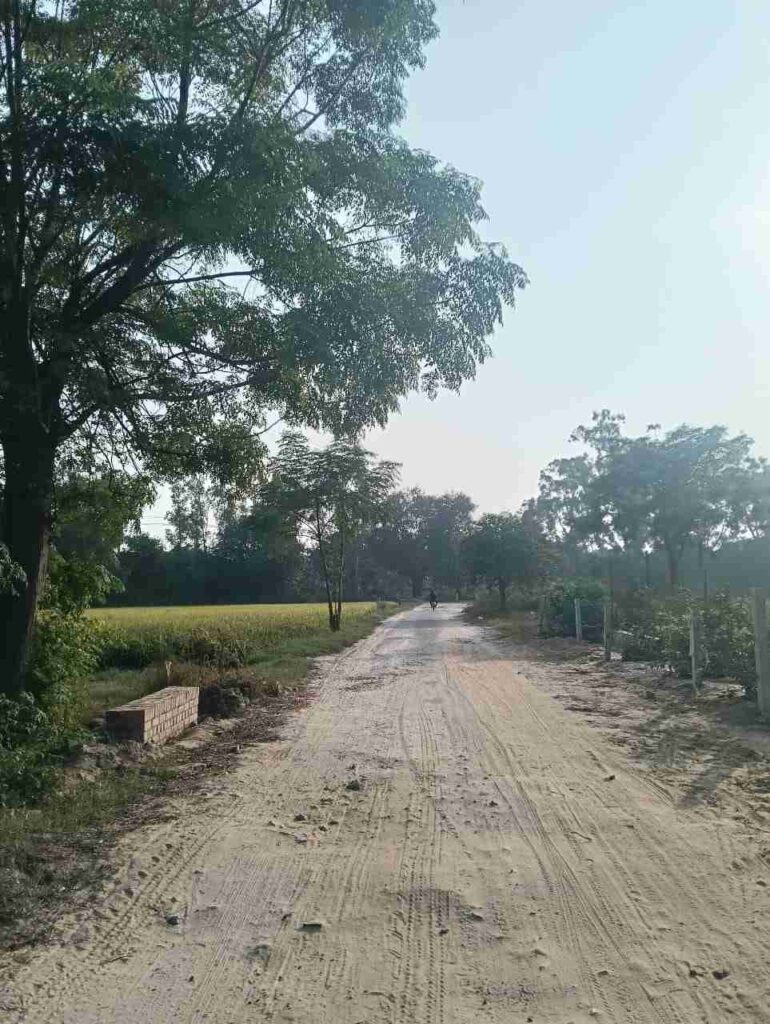 Way to Canal Village Raowal