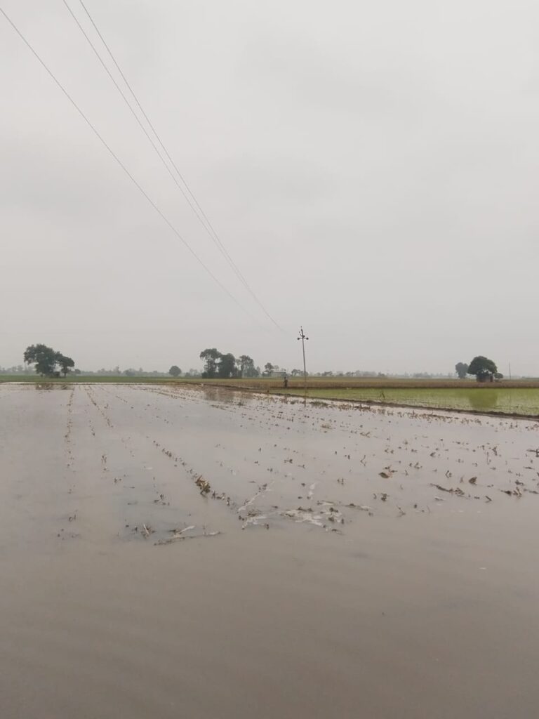 Rainy Day During Monsoon Month