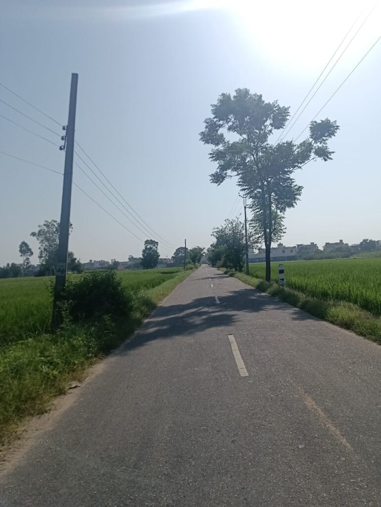 Hot Day During Summer