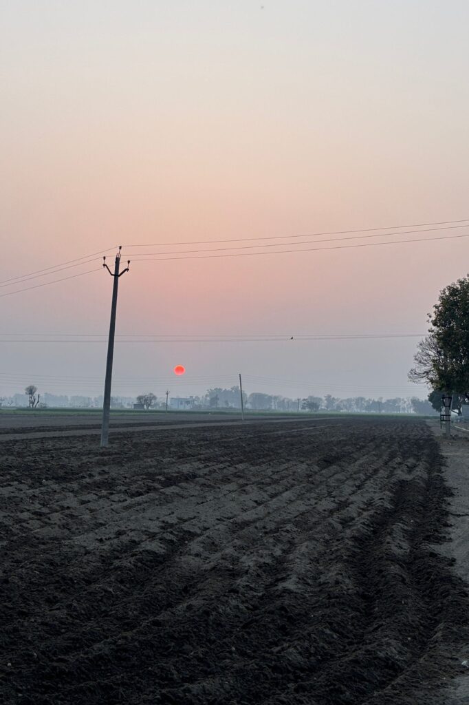Evening View in the Field from Village Raowal