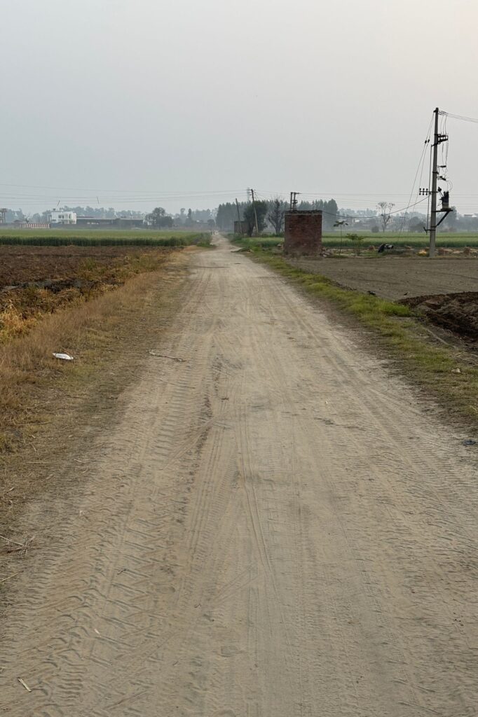 Photo of the way to the farms from the village Raowal