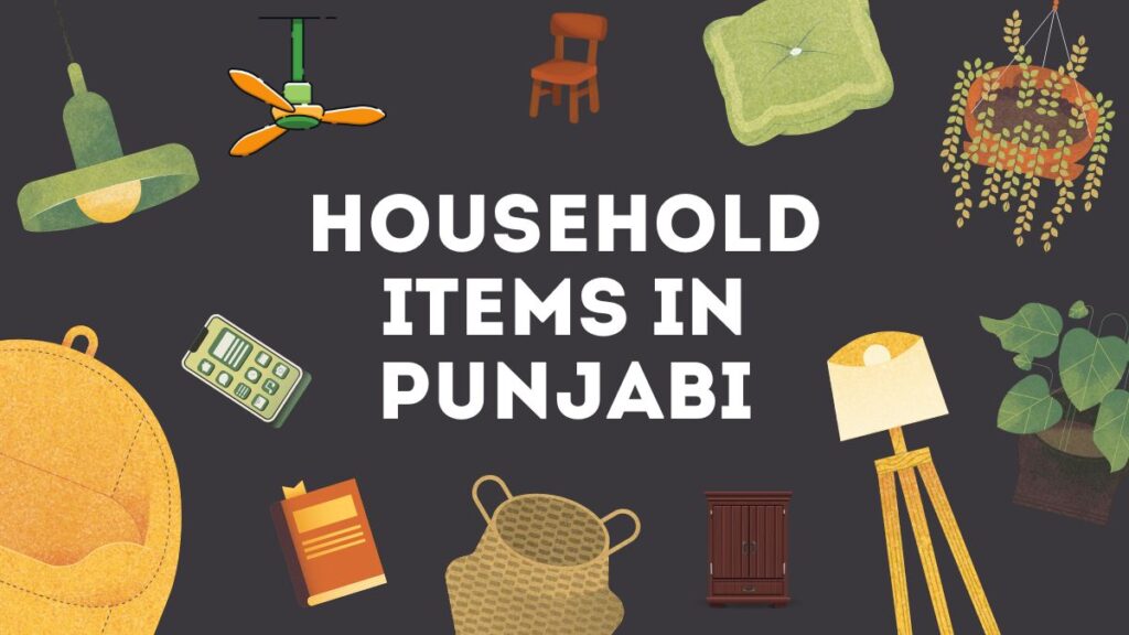 Household Items in Punjabi