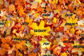 Punjabi Desi Months