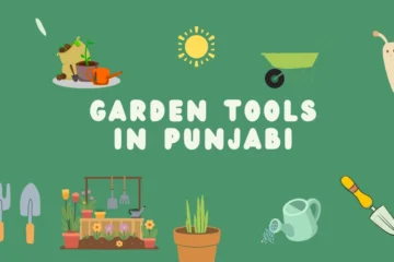 Garden Tools in Punjabi