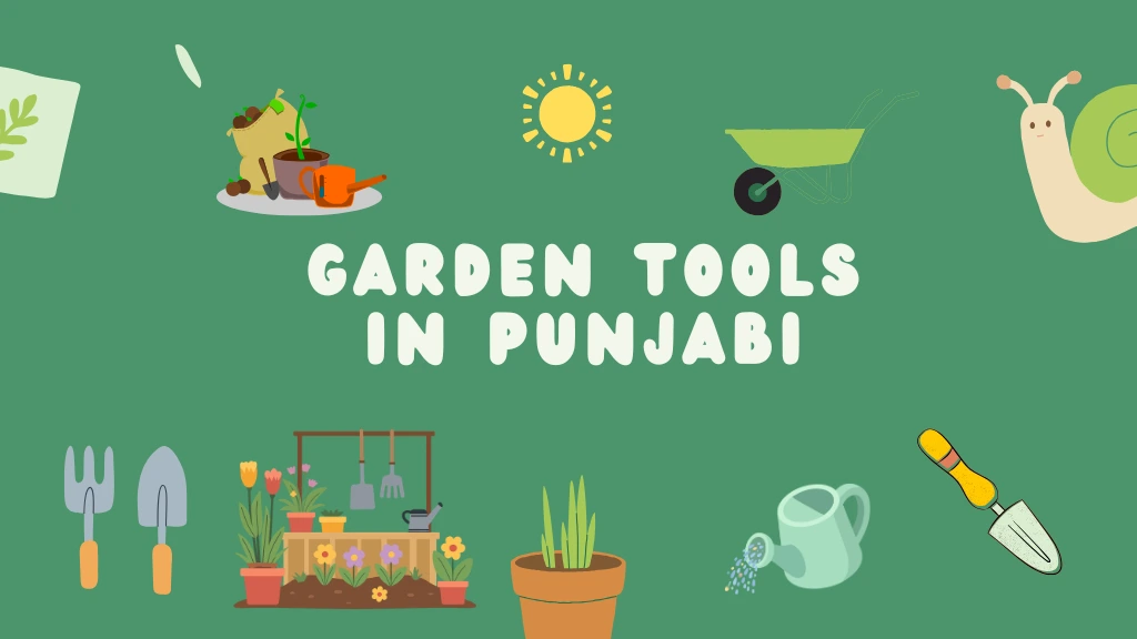 Garden Tools in Punjabi