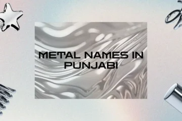 Metal Names in Punjabi