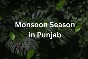 Monsoon Season in Punjab