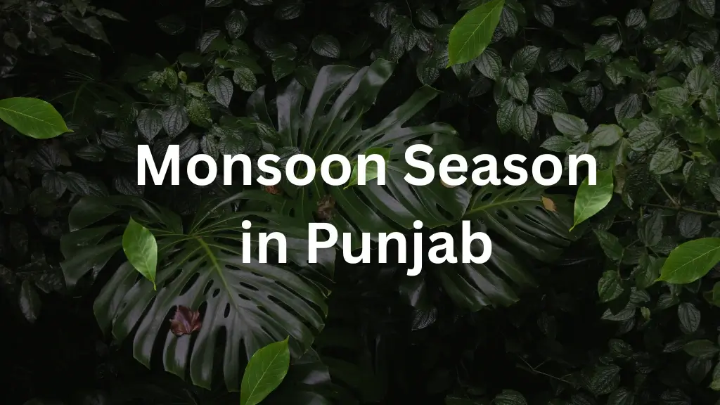 Monsoon Season in Punjab