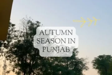 Autumn Season in Punjab